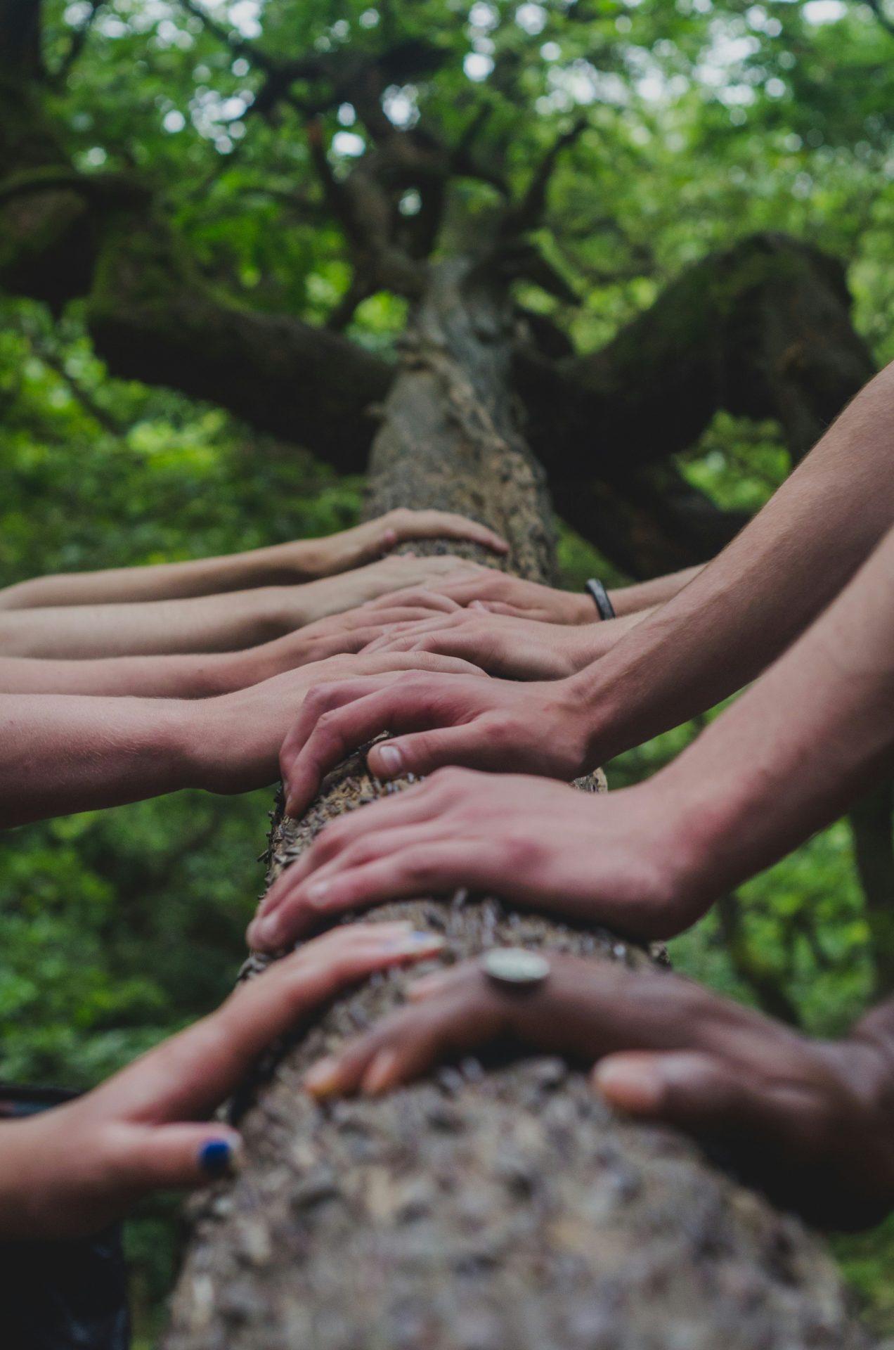 Co-operation over competition: the quiet power that sustains care
